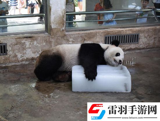 炎炎夏日再窮不能沒空調(diào)妹子驚嘆你連風油精都不如