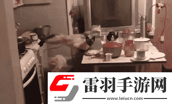 炎炎夏日再窮不能沒空調(diào)妹子驚嘆你連風油精都不如