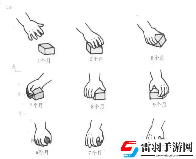 新手闖江湖
