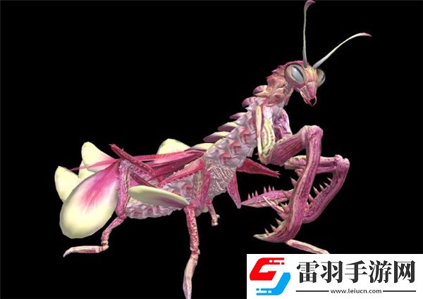 妄想山海千年刀螳位置一覽