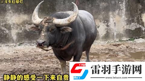 “小皇帝”科技狂想曲