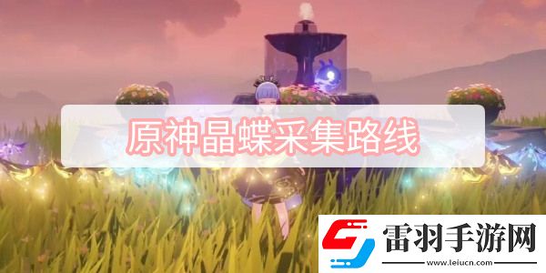 原神晶蝶采集路線