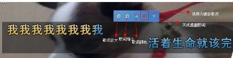 YY伴侶的詳細使用過程講解