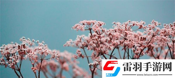 國產(chǎn)母線槽國內(nèi)一線品牌5標(biāo)