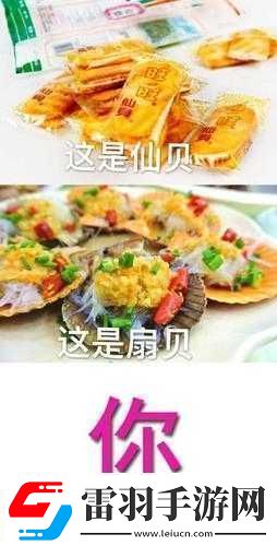 這是我的小扇貝好看嗎