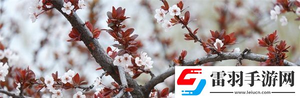 授課方式by清歡的創(chuàng)新