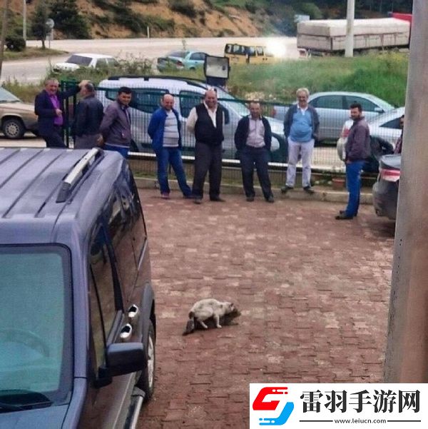 周二搞笑內(nèi)涵圖美女健身房碰到變態(tài)好尷尬