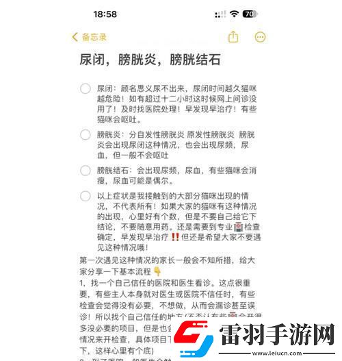 詭秘膀胱