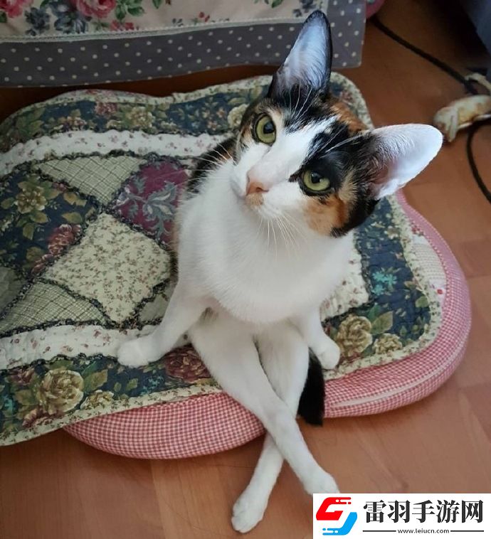 周二搞笑內(nèi)涵圖美女健身房碰到變態(tài)好尷尬