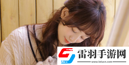中國高清windows視頻軟件