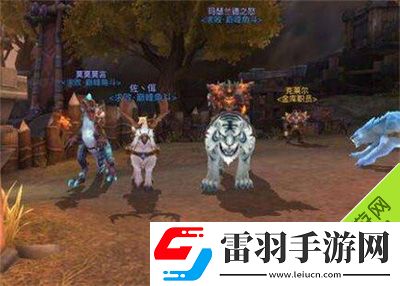 光明大陸弓箭手符文怎么搭配弓箭手屬性選擇解析