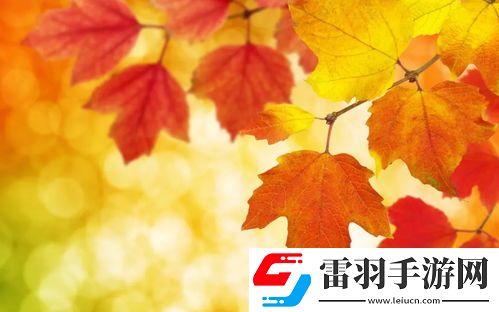 提升搜索可見度