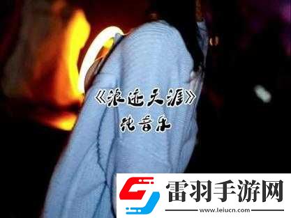 抖音上浪跡天涯的笑是哪首歌