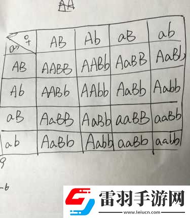 AABB與AAAA的區(qū)別據(jù)說(shuō)能找到齊全的視頻資源