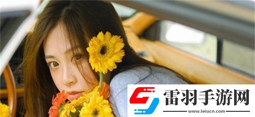 可以直接進(jìn)入的網(wǎng)站的代碼