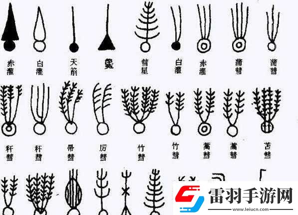 世界上最小BB有幾個(gè)