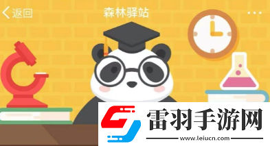 浣熊是如何抓起食物的