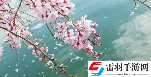 hp公交車灌溉系統(tǒng)幾個(gè)莊主工人