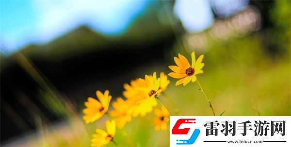 亞洲一線產(chǎn)區(qū)二線產(chǎn)區(qū)地圖