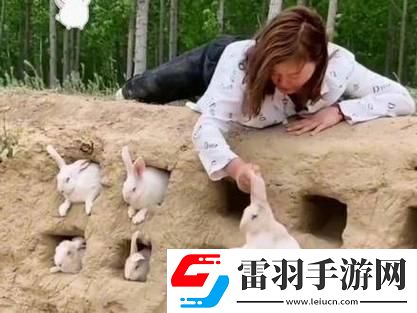 跳跳兔創(chuàng)新記