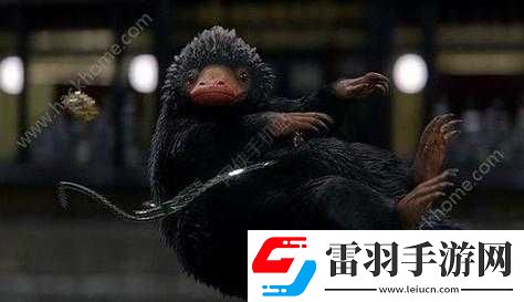 霍格沃茨之遺