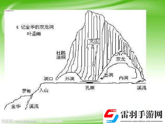 雙龍進(jìn)洞夾心餅干的營養(yǎng)價(jià)值