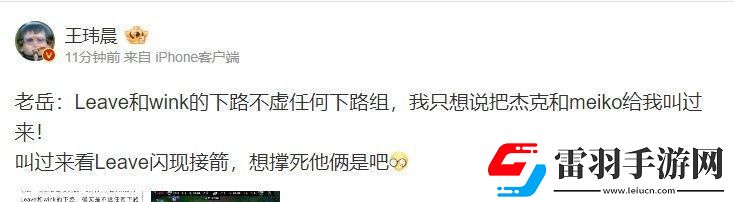 回旋鏢來咯！媒體人銳評老岳說Leave強