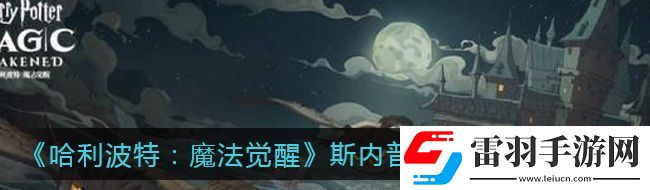哈利波特