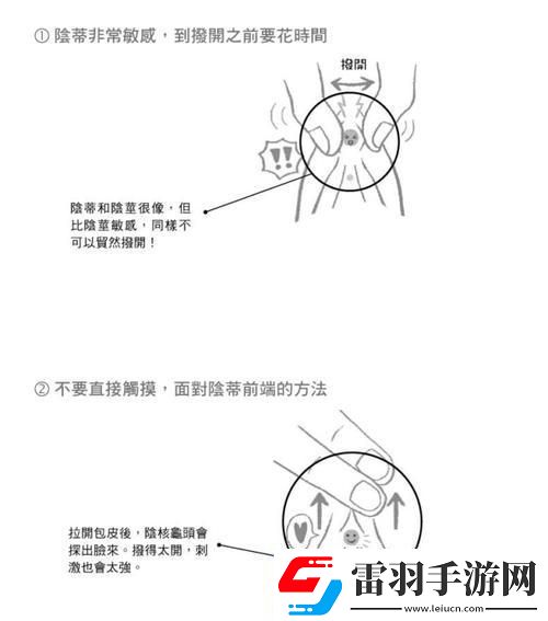 “揉豆秘技