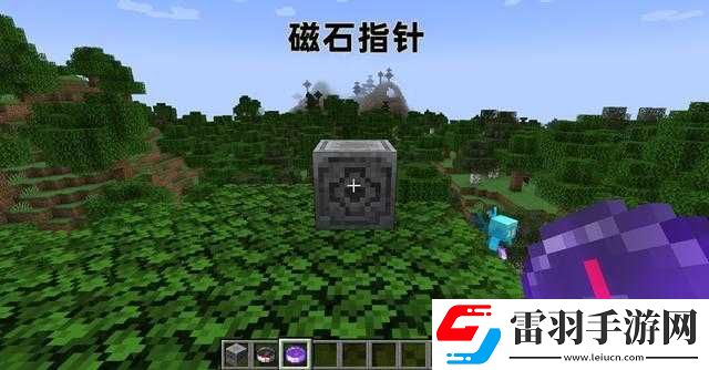 探秘