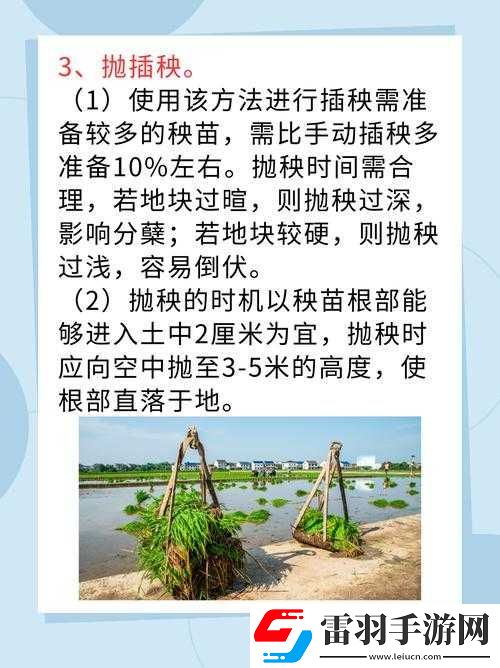 夫妻插秧