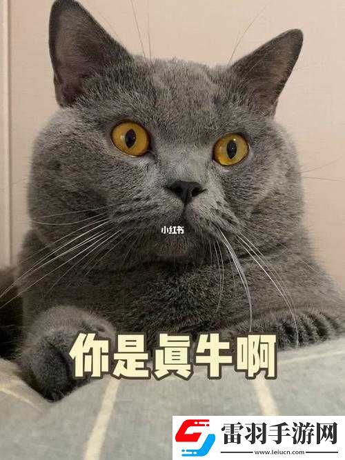 兩毫米的小洞你卻穩(wěn)穩(wěn)命中