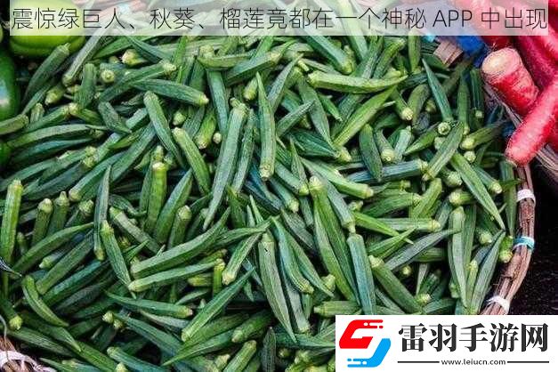 震驚綠巨人、秋葵、榴蓮竟都在一個(gè)神秘