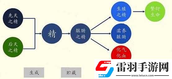 精二和精三的區(qū)別科精二和精三大公開