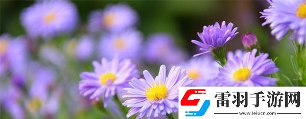 sp發(fā)刷紅腫雙丘舊巷笙歌的文學(xué)描寫