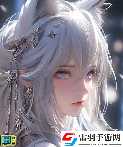 暗衛(wèi)營(yíng)大型HPN