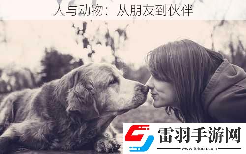 人與動(dòng)物