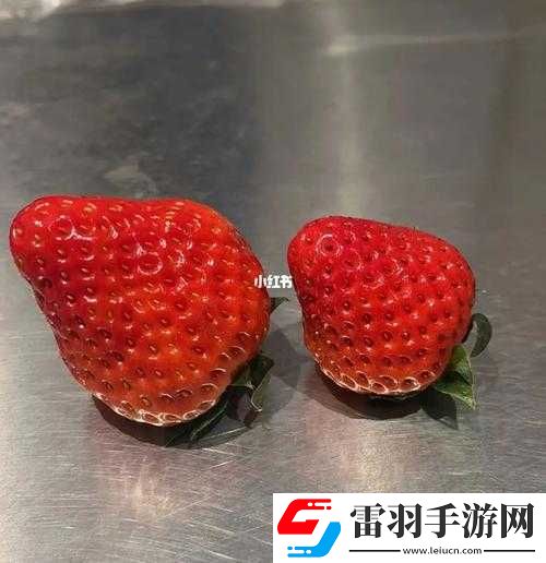 蜜絲婷大草莓與小草莓比較優(yōu)劣