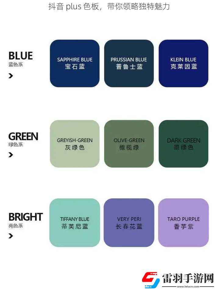 抖音plus色板帶你領(lǐng)略獨(dú)特魅力