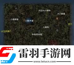 第五人格