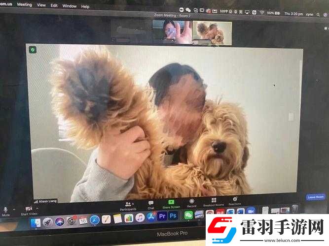 狗Zoom和人類Zoom哪個好