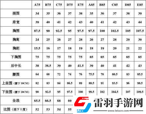 歐洲碼尺碼