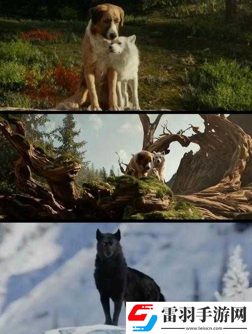 不知深淺
