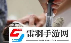 貓血的秘密