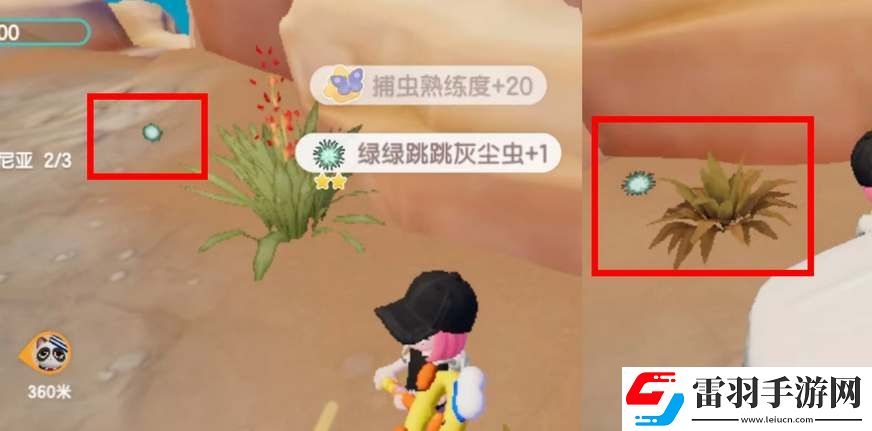 心動小鎮(zhèn)奇靈季灰塵蟲捕捉攻略