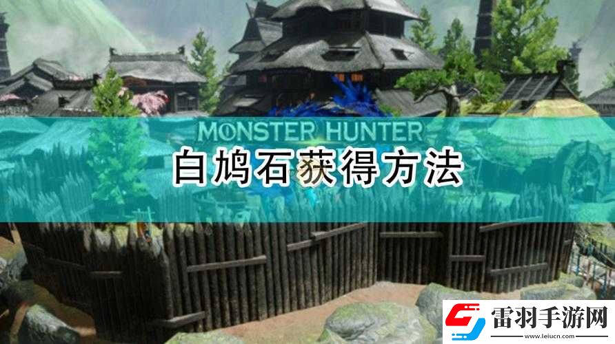 怪物獵人世界白鳩石位置及獲得方法詳細(xì)介紹大揭秘