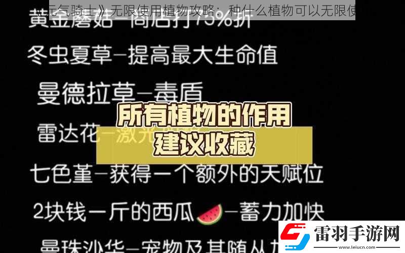 元?dú)怛T士無限使用植物攻略