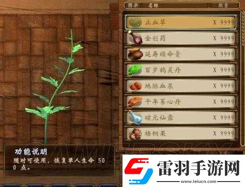 探索穹之扉的神秘世界