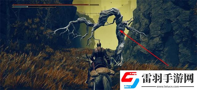 艾爾登法環(huán)母親啊怎么獲得DLC母親啊姿勢獲得方法