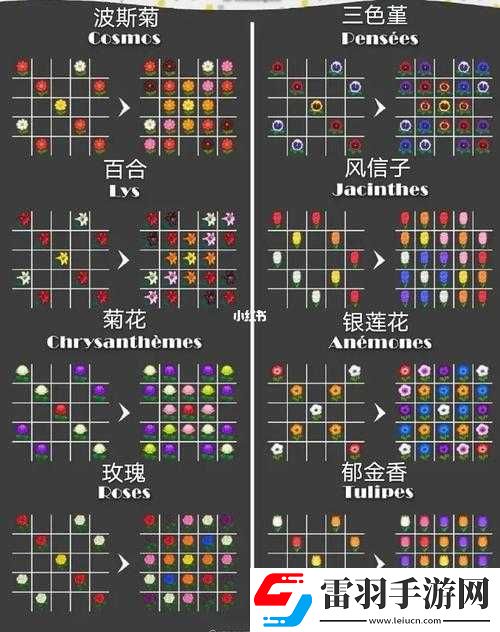 動(dòng)物森友會(huì)雜交花種植方法